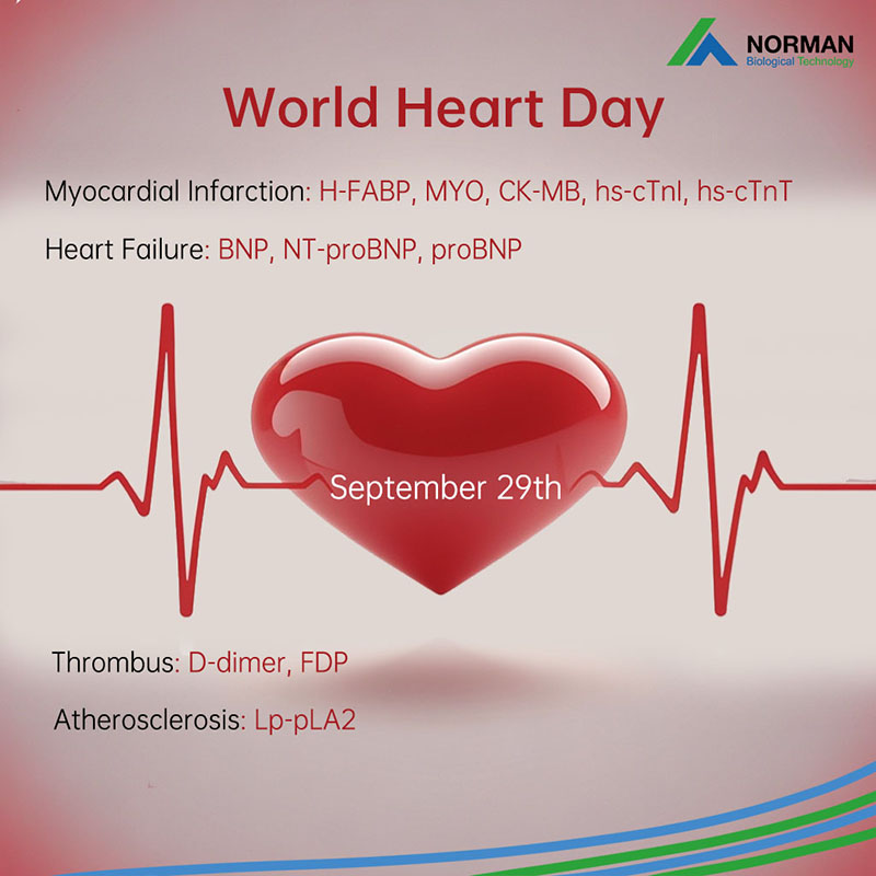 World Heart Day