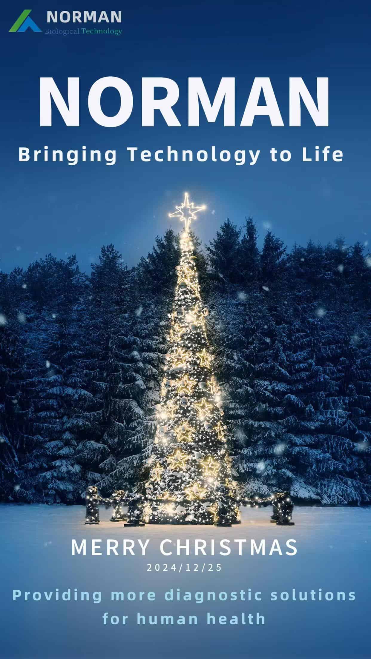 Merry Christmas
