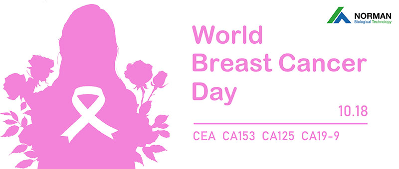 World Breast Cancer Day