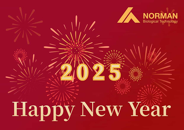 Happy New Year