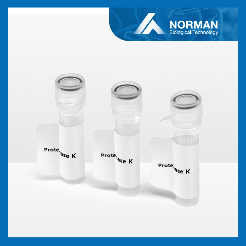 Proteinase K